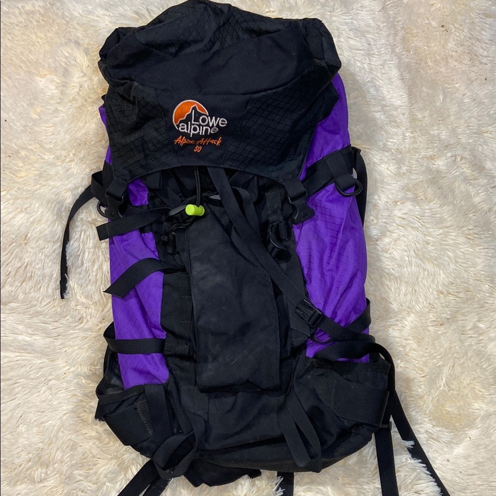 Alpine Black and Purple Adventure Backpack